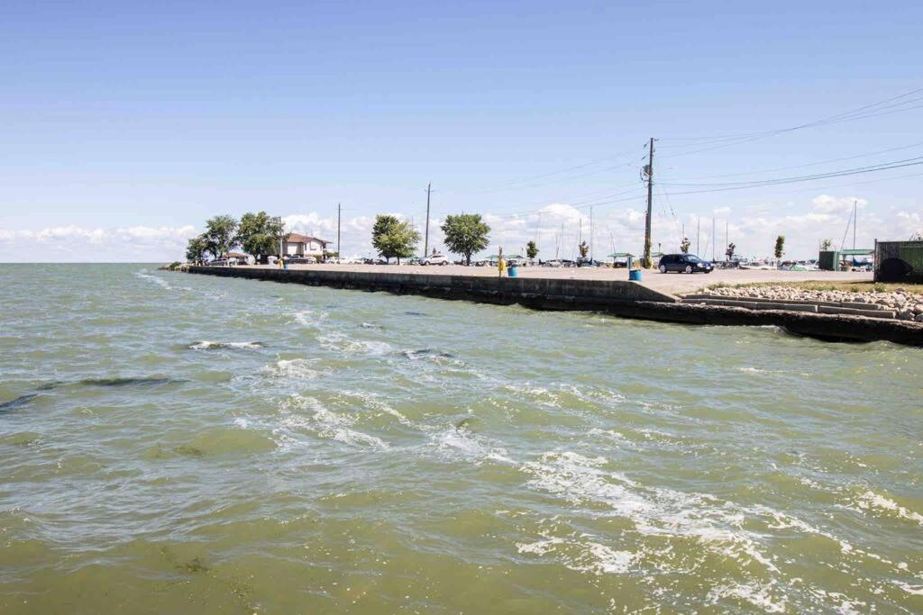 2 Bedroom Getaway On The River/Close To Marina Belle River Zewnętrze zdjęcie